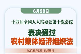 桑谢斯：相信加盟罗马是我最理想的选择，球队的计划令我心动